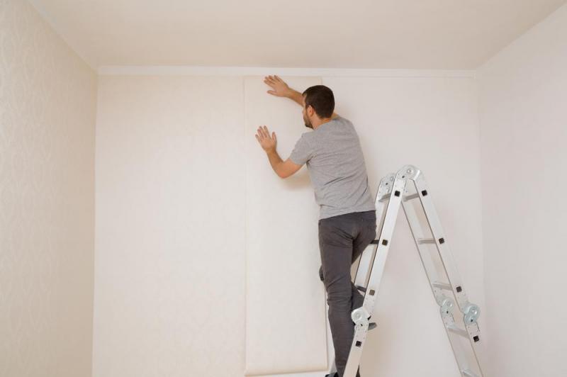 Papier peint ou peinture murale, comment choisir le rev&ecirc;tement adapt&eacute; &agrave; chaque pi&egrave;ce ?